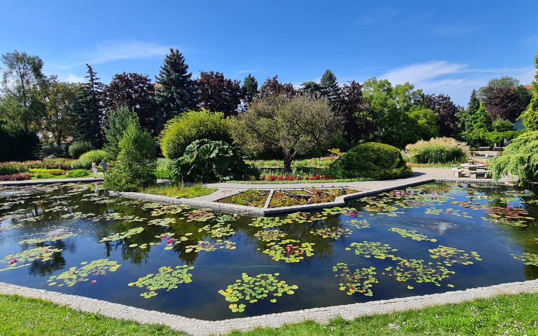 Ogród Botaniczny we Wrocławiu. Najpiękniejszy ogród w Polsce!