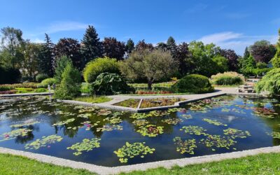 Botanischer Garten in Breslau! Mitten in der Altstadt!